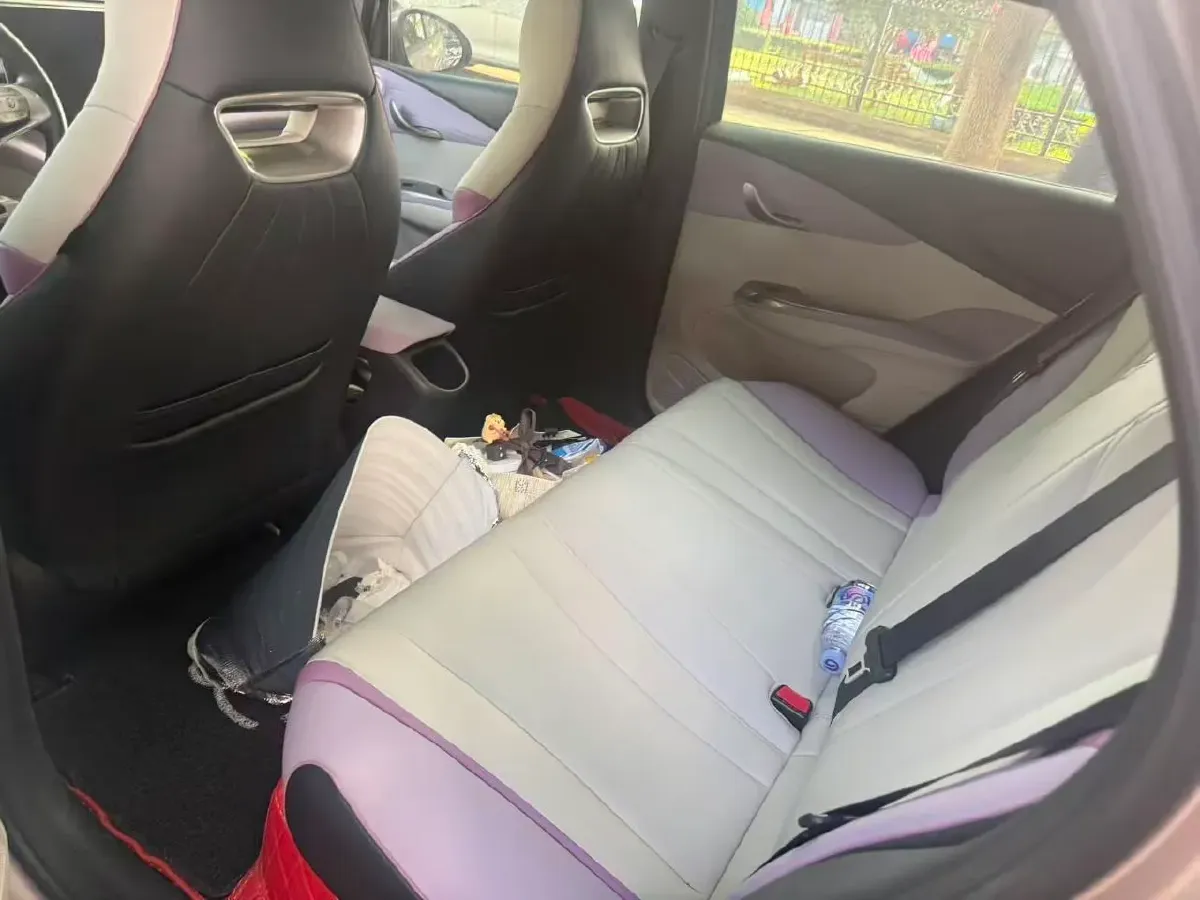 2021 BYD e2 BEV 43.2KWH,autocango,china used car exporter,china ev exporter,chinese used car exporter,chinese used ev exporter