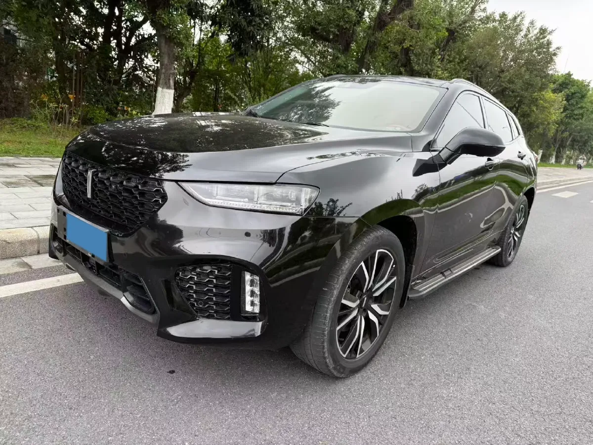 2017 WEY VV7 2.0T 234HP L4 7DCT,autocango,china used car exporter,china ev exporter,chinese used car exporter,chinese used ev exporter