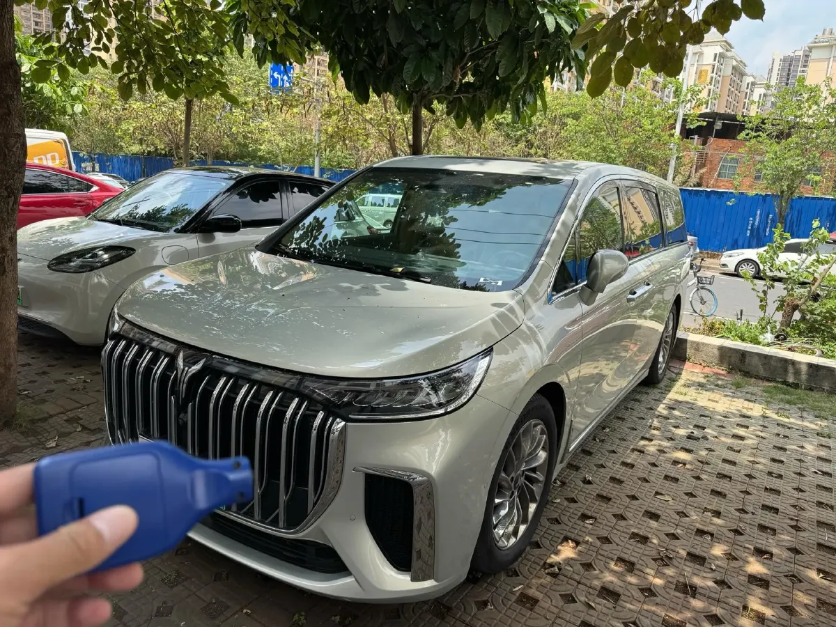 2024 Voyah Dream 1.5T 150HP L4 PHEV 43KWH,autocango,china used car exporter,china ev exporter,chinese used car exporter,chinese used ev exporter