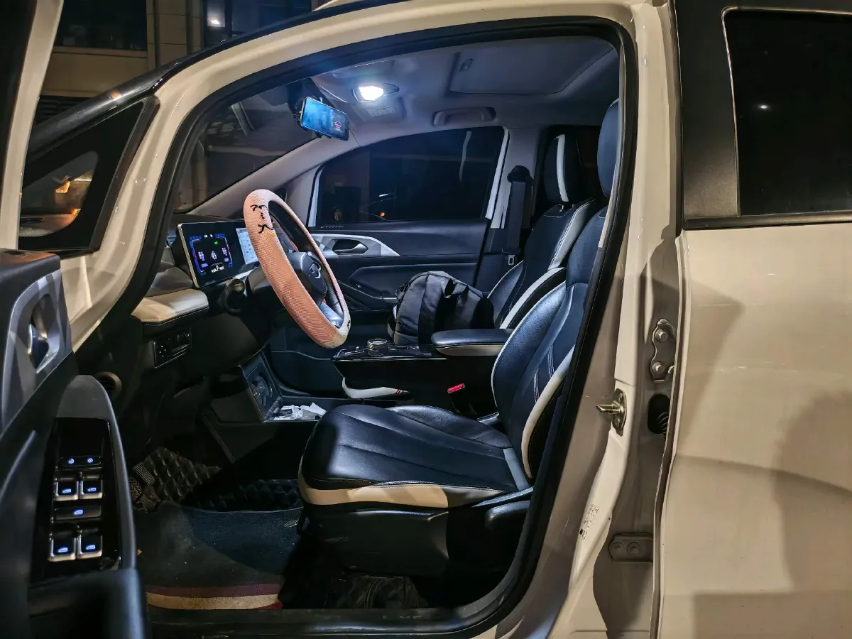 2022 Geometry E BEV 39.4KWH,autocango,china used car exporter,china ev exporter,chinese used car exporter,chinese used ev exporter