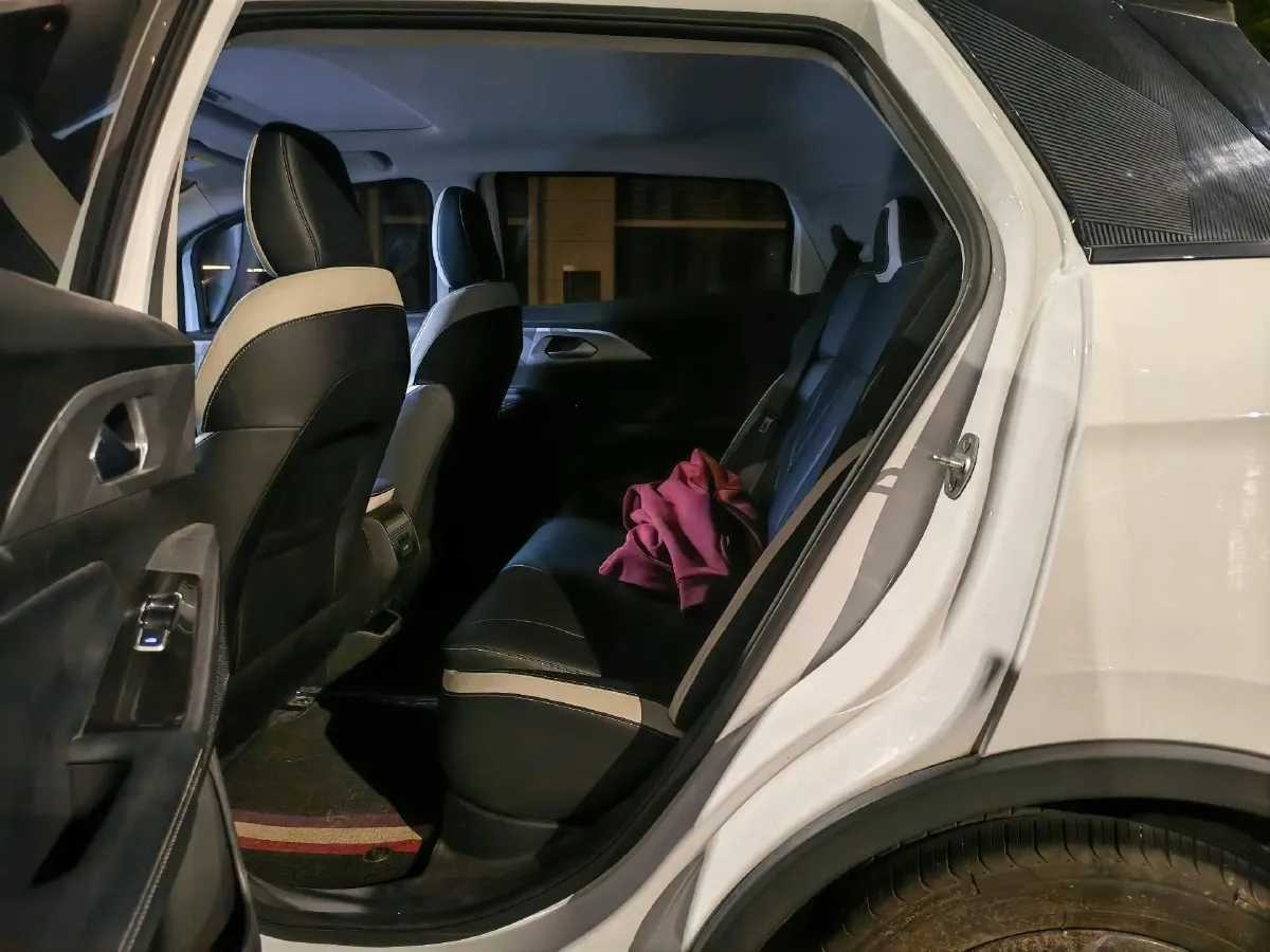 2022 Geometry E BEV 39.4KWH,autocango,china used car exporter,china ev exporter,chinese used car exporter,chinese used ev exporter