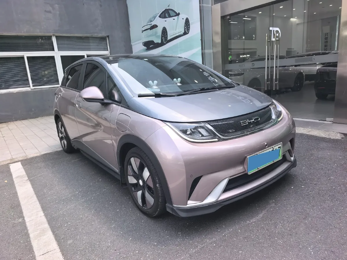 2023 BYD Dolphin BEV 44.928KWH,autocango,china used car exporter,china ev exporter,chinese used car exporter,chinese used ev exporter