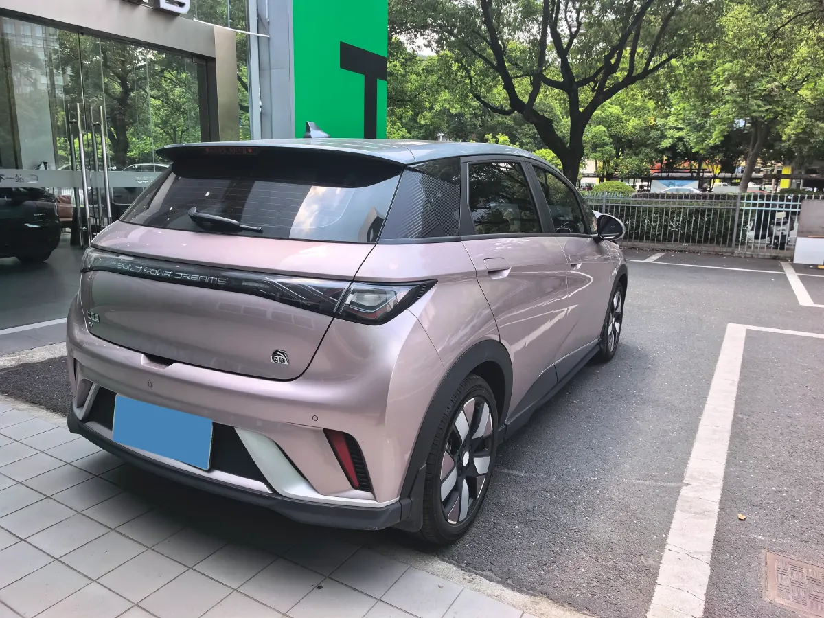 2023 BYD Dolphin BEV 44.928KWH,autocango,china used car exporter,china ev exporter,chinese used car exporter,chinese used ev exporter