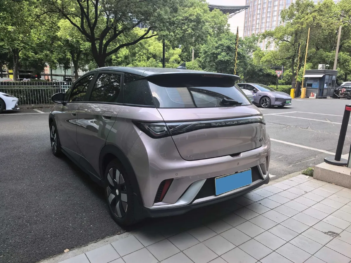 2023 BYD Dolphin BEV 44.928KWH,autocango,china used car exporter,china ev exporter,chinese used car exporter,chinese used ev exporter