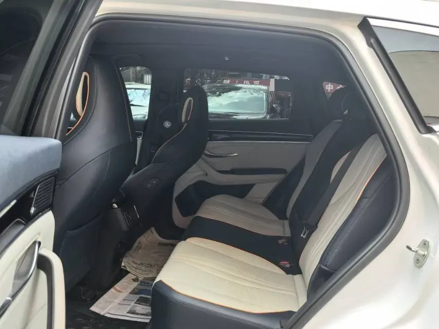 2021 SRM Sea Lion EV BEV 41.86KWH,autocango,china used car exporter,china ev exporter,chinese used car exporter,chinese used ev exporter