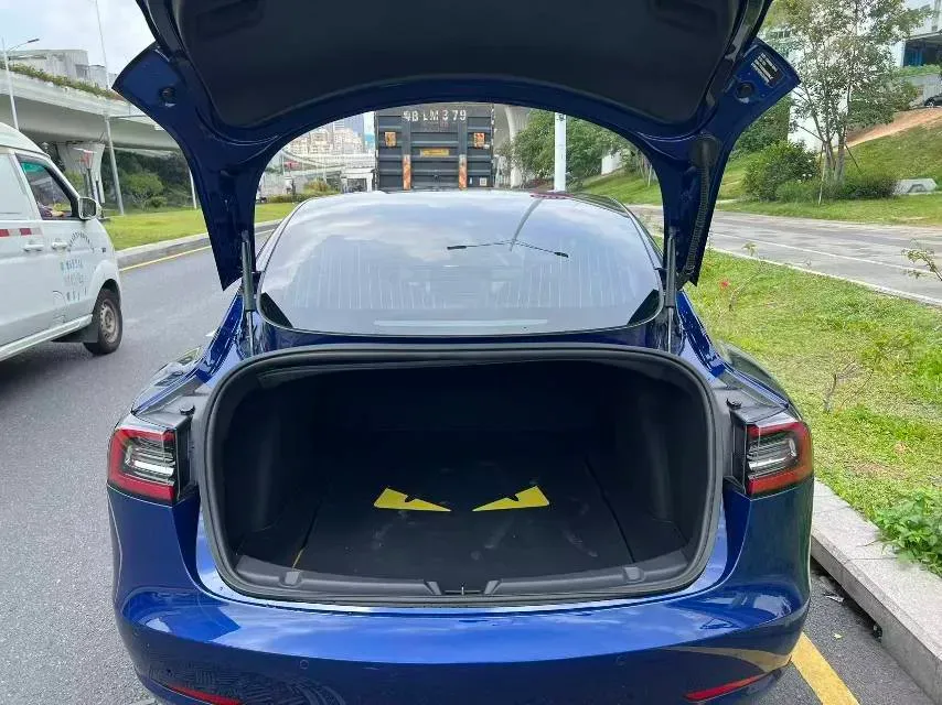 2020 Tesla Model 3 BEV 52KWH,autocango,china used car exporter,china ev exporter,chinese used car exporter,chinese used ev exporter