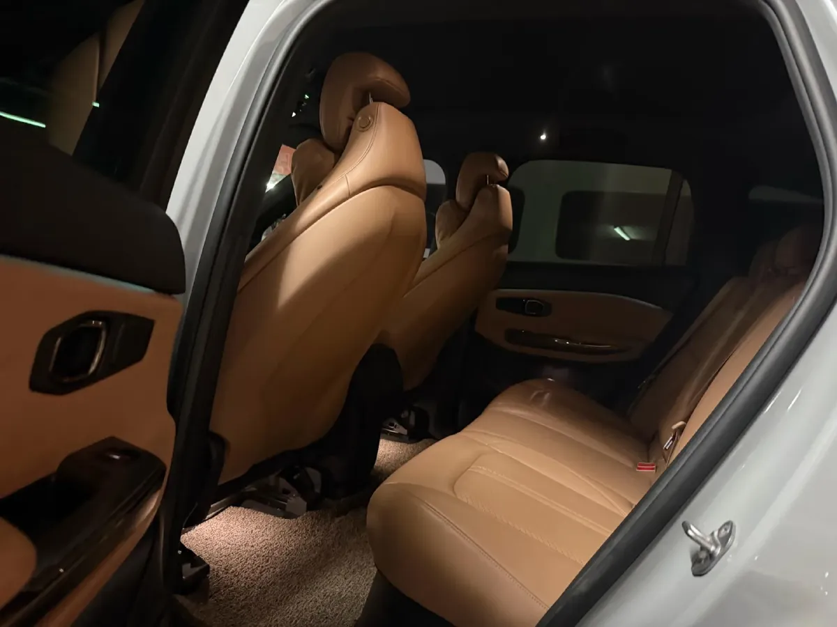2020 Lexus NX 2.5L 155HP L4 E-CVT Hybrid,autocango,china used car exporter,china ev exporter,chinese used car exporter,chinese used ev exporter
