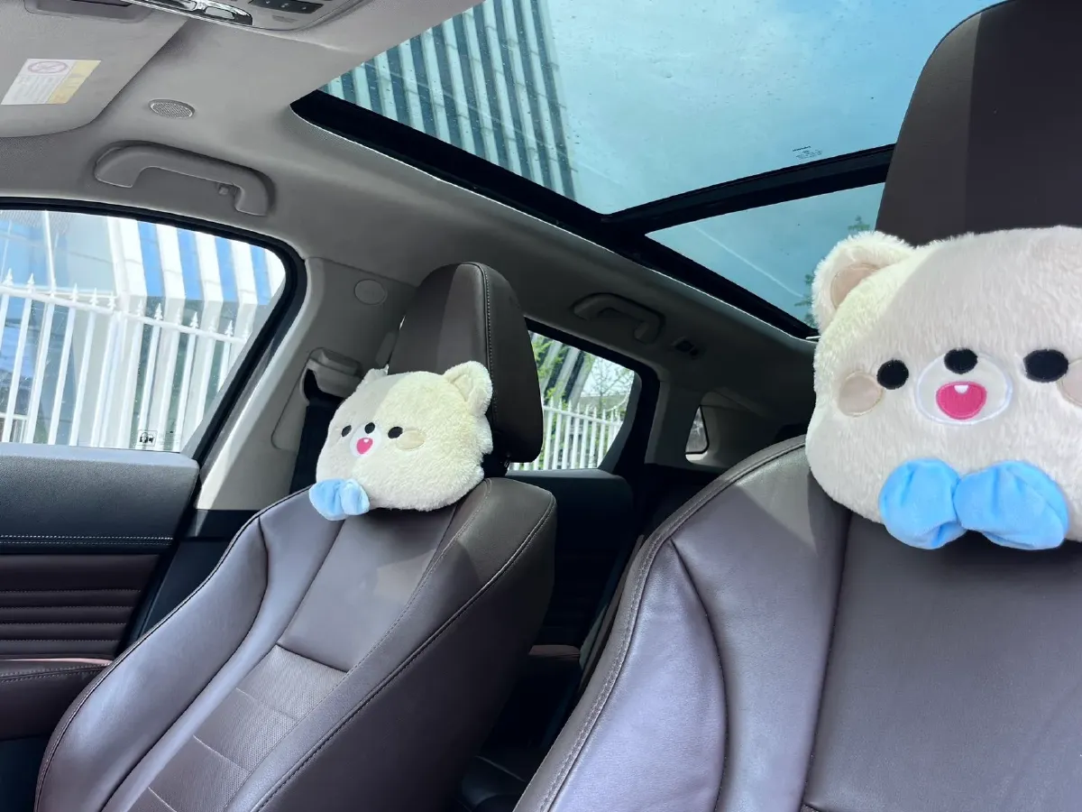 2019 WEY VV7 2.0T 234HP L4 7DCT,autocango,china used car exporter,china ev exporter,chinese used car exporter,chinese used ev exporter