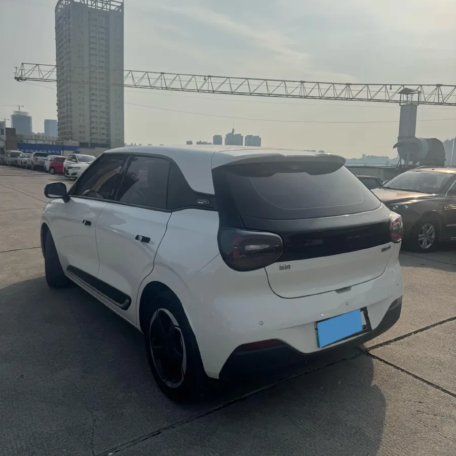 2024 DongFeng eπ 01 BEV 42.3KWH,autocango,china used car exporter,china ev exporter,chinese used car exporter,chinese used ev exporter