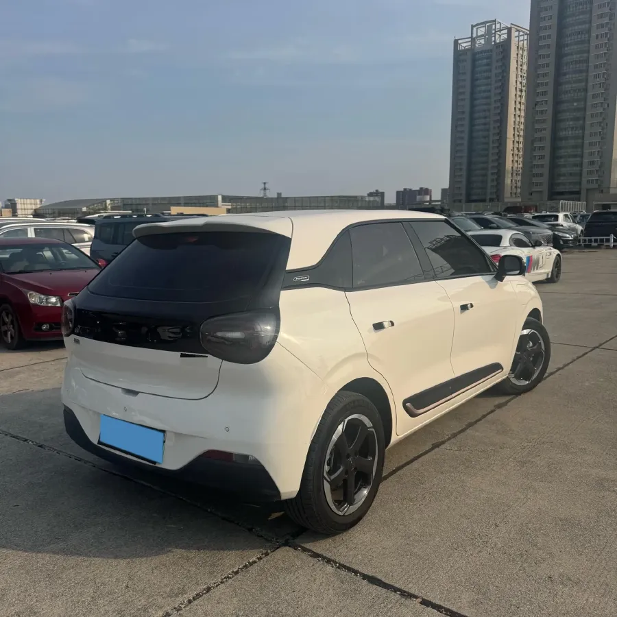 2024 DongFeng eπ 01 BEV 42.3KWH,autocango,china used car exporter,china ev exporter,chinese used car exporter,chinese used ev exporter