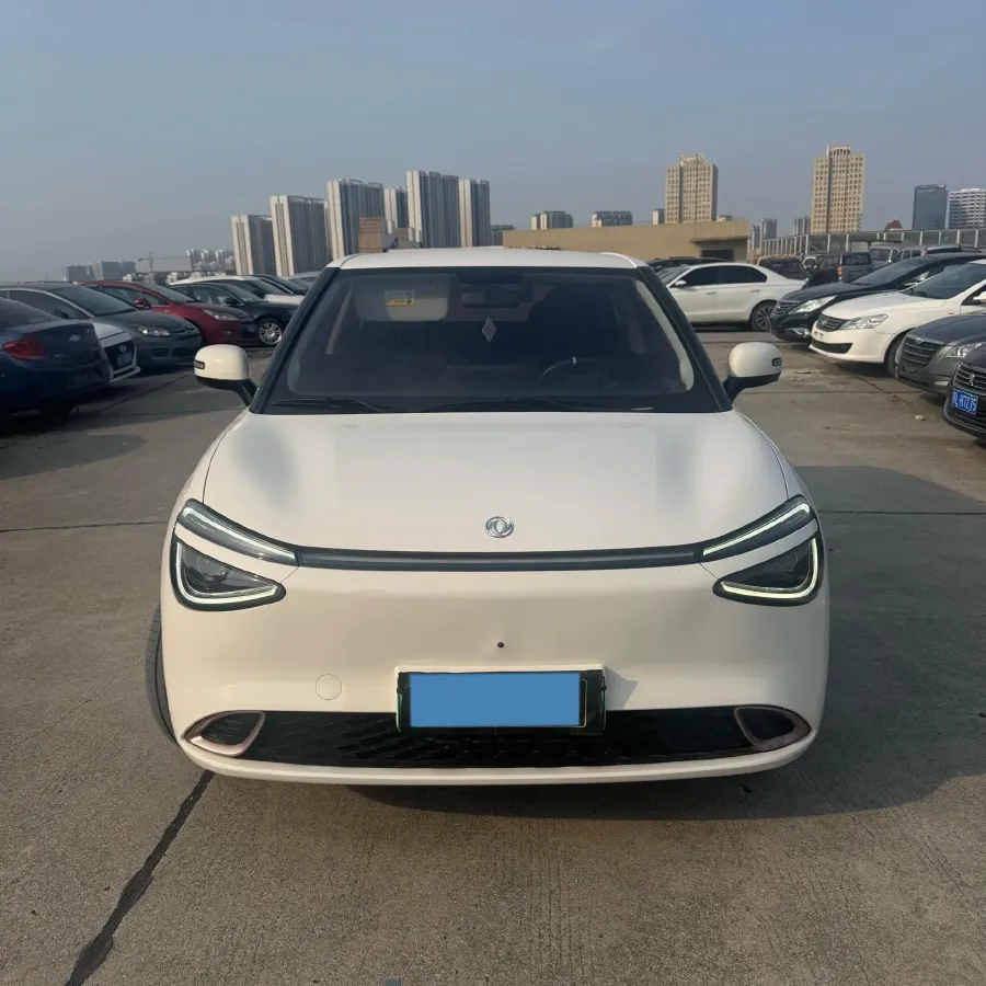 2024 DongFeng eπ 01 BEV 42.3KWH,autocango,china used car exporter,china ev exporter,chinese used car exporter,chinese used ev exporter