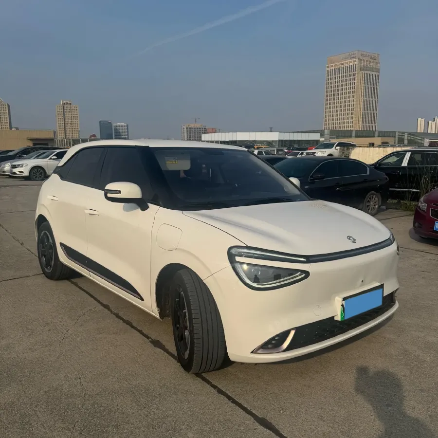 2024 DongFeng eπ 01 BEV 42.3KWH,autocango,china used car exporter,china ev exporter,chinese used car exporter,chinese used ev exporter