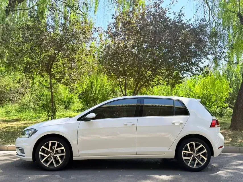 2019 Ford Focus 1.5T 184HP L3 8AT,autocango,china used car exporter,china ev exporter,chinese used car exporter,chinese used ev exporter