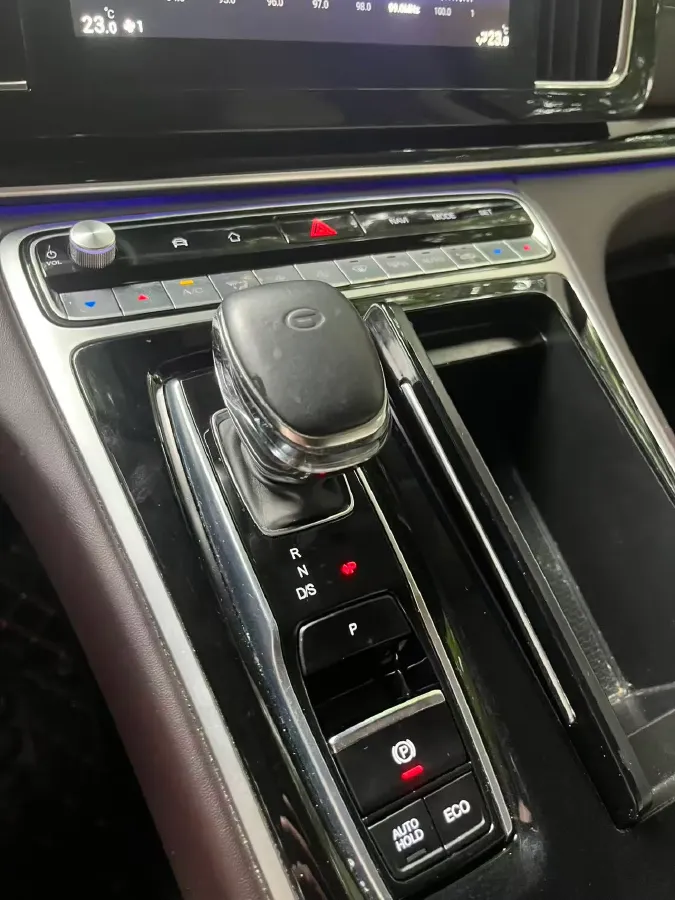 2021 GAC Trumpchi M8 2.0T 252HP L4 8AT,autocango,china used car exporter,china ev exporter,chinese used car exporter,chinese used ev exporter