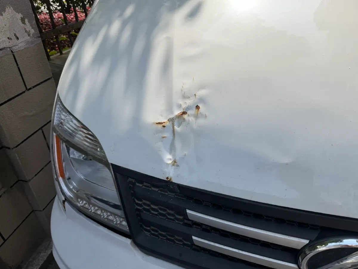 2021 MAXUS XinTu V80 2.0T 127HP L4 6MT,autocango,china used car exporter,china ev exporter,chinese used car exporter,chinese used ev exporter