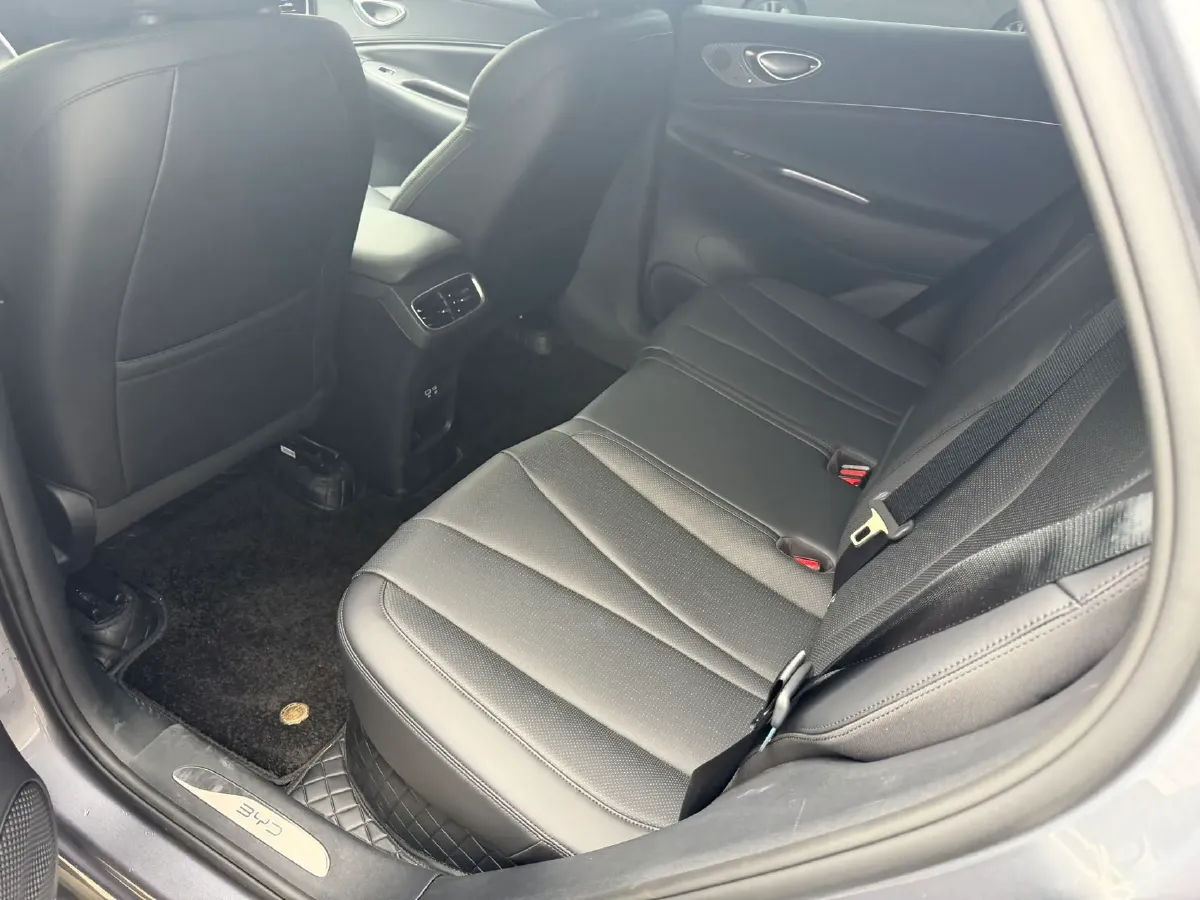 2025 LanDian E5 PLUS 1.5L 95HP L4 E-CVT PHEV,autocango,china used car exporter,china ev exporter,chinese used car exporter,chinese used ev exporter