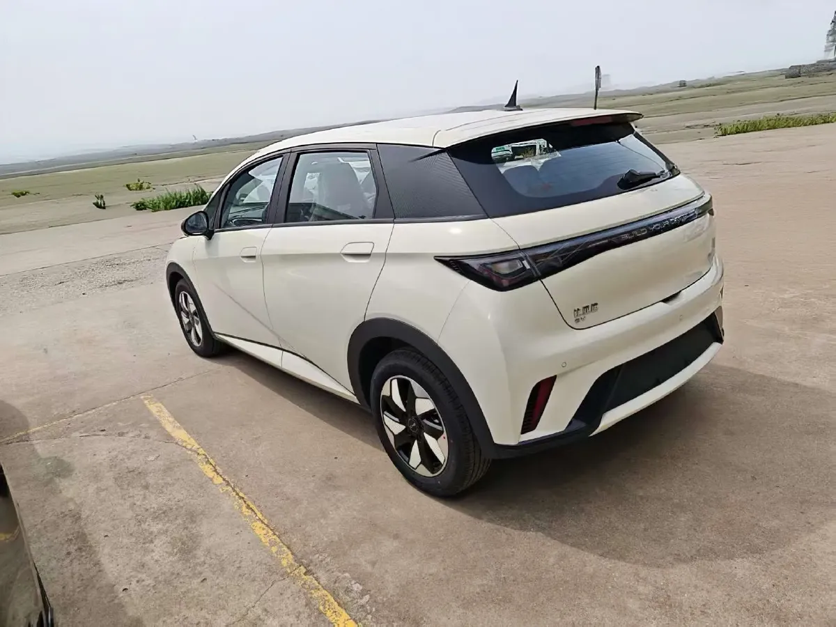 2025 BYD Dolphin BEV 44.928KWH,autocango,china used car exporter,china ev exporter,chinese used car exporter,chinese used ev exporter