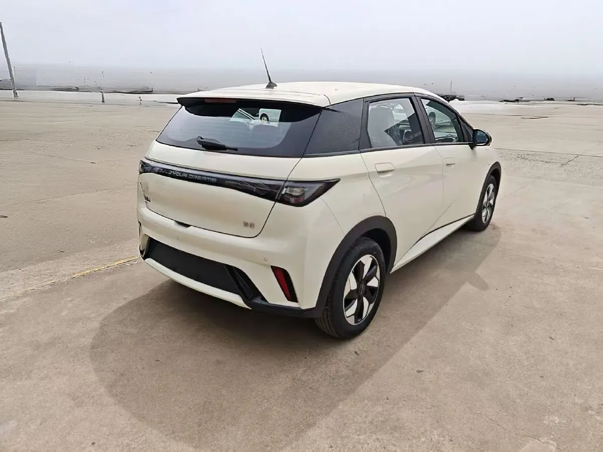 2025 BYD Dolphin BEV 44.928KWH,autocango,china used car exporter,china ev exporter,chinese used car exporter,chinese used ev exporter