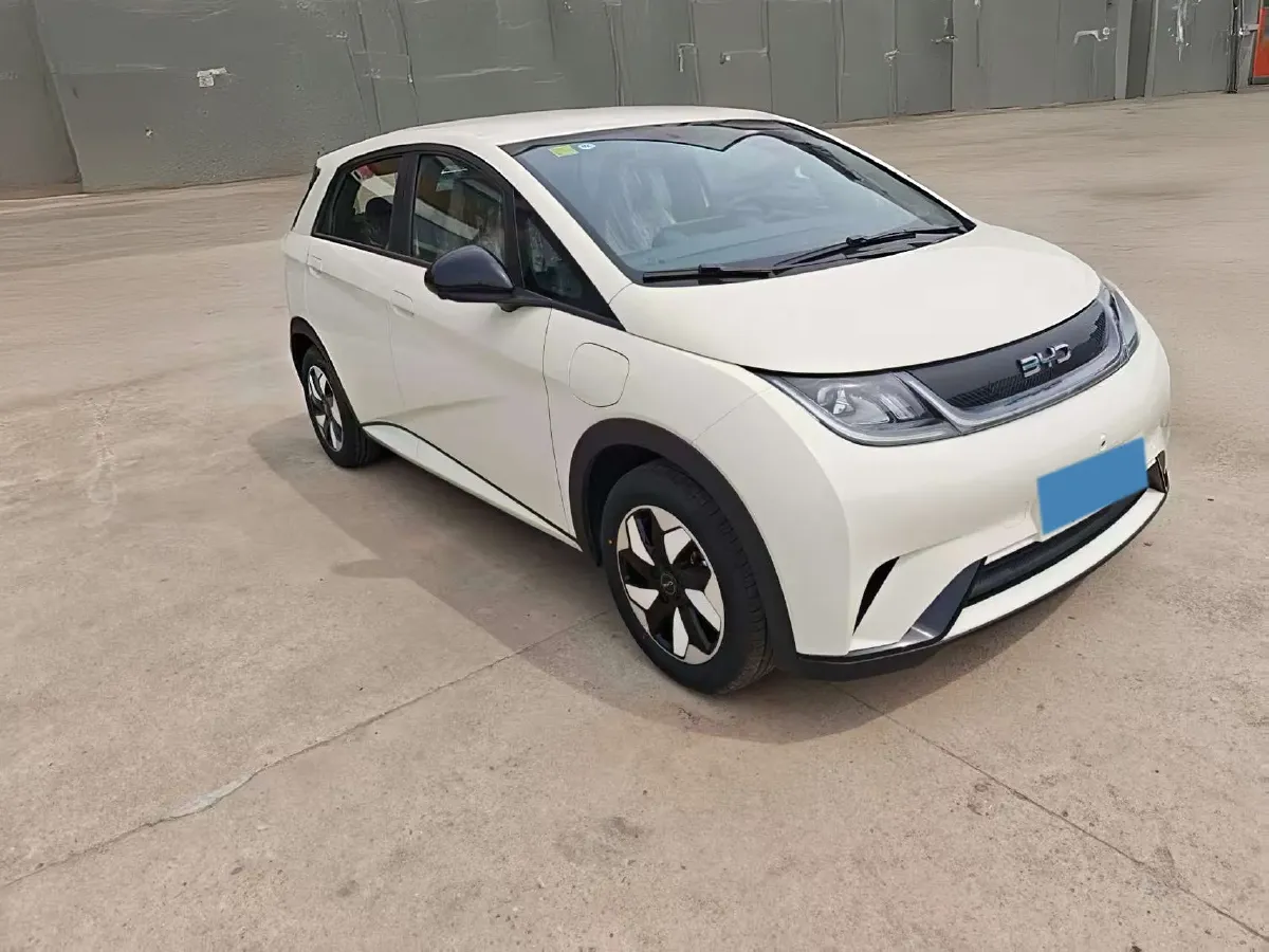 2025 BYD Dolphin BEV 44.928KWH,autocango,china used car exporter,china ev exporter,chinese used car exporter,chinese used ev exporter