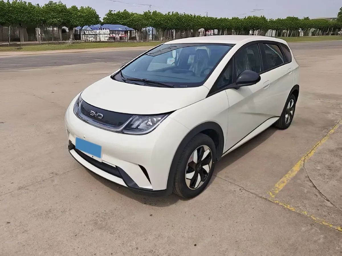 2025 BYD Dolphin BEV 44.928KWH,autocango,china used car exporter,china ev exporter,chinese used car exporter,chinese used ev exporter