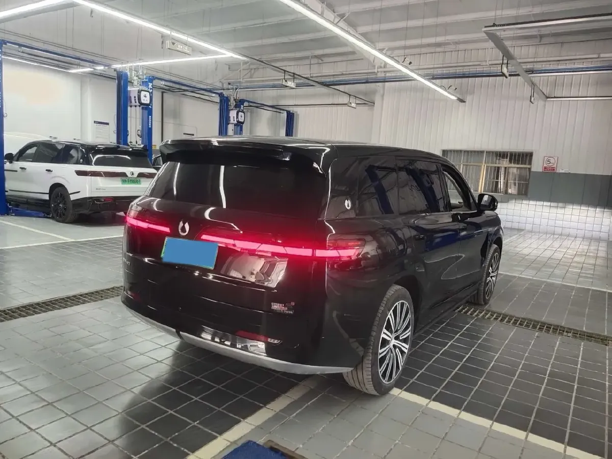 2025 Denza DenzaN9 2.0T 207HP L4 E-CVT PHEV,autocango,china used car exporter,china ev exporter,chinese used car exporter,chinese used ev exporter