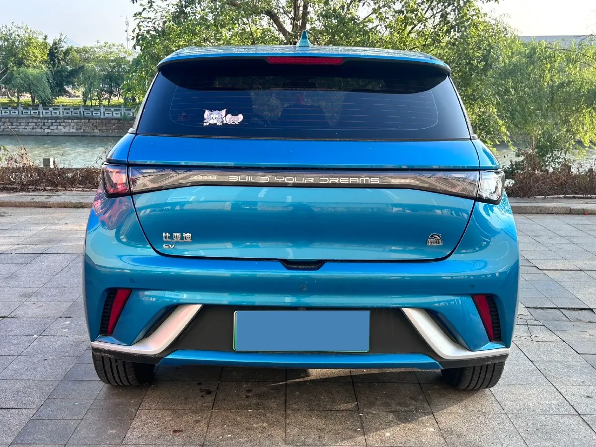 2021 BYD Yuan Pro BEV 50.1KWH,autocango,china used car exporter,china ev exporter,chinese used car exporter,chinese used ev exporter