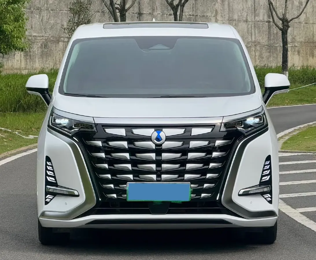 2024 Denza D9 1.5T 139HP L4 E-CVT PHEV 40KWH,autocango,china used car exporter,china ev exporter,chinese used car exporter,chinese used ev exporter