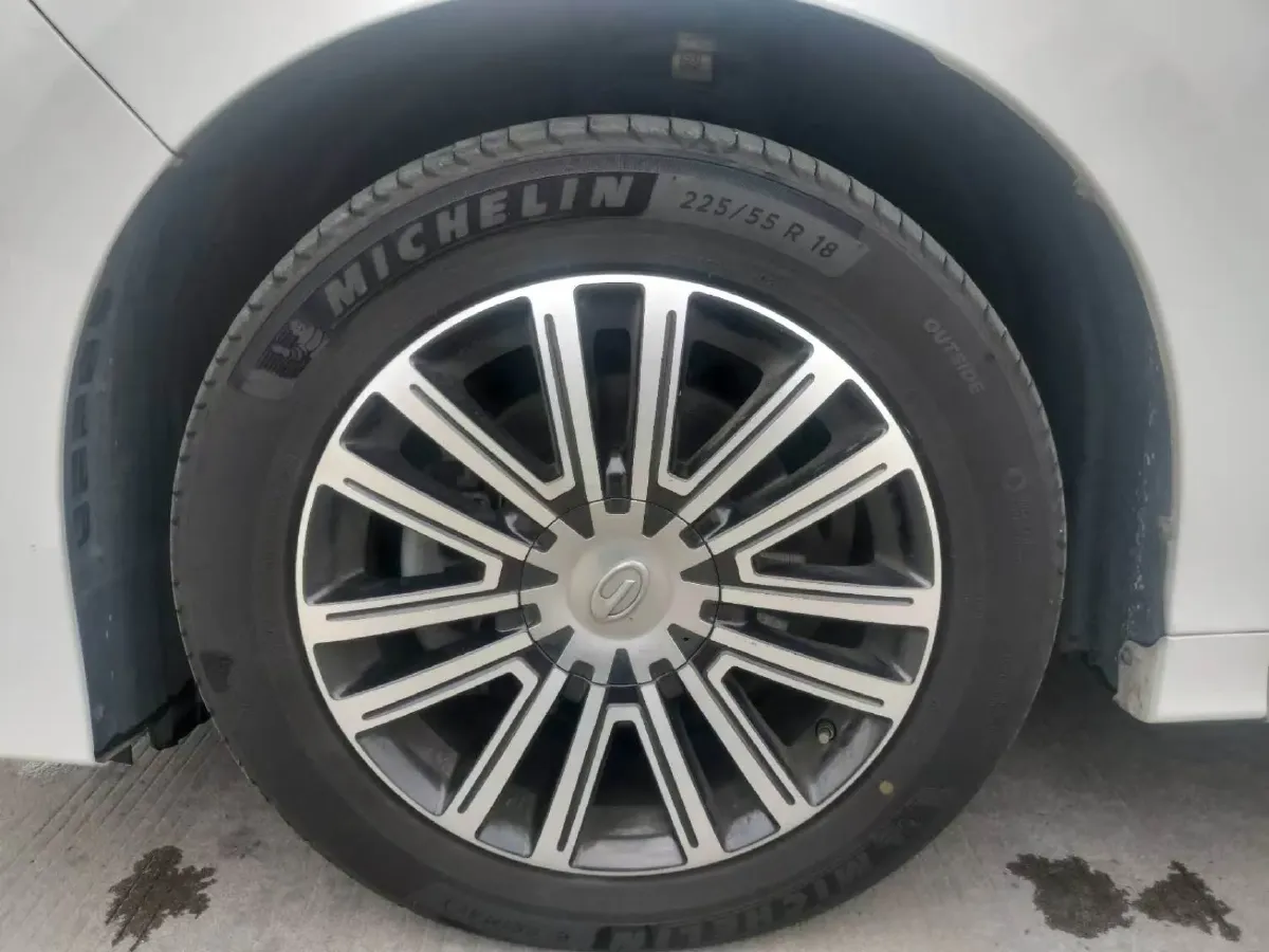 2021 GAC Trumpchi M8 2.0T 252HP L4 8AT,autocango,china used car exporter,china ev exporter,chinese used car exporter,chinese used ev exporter