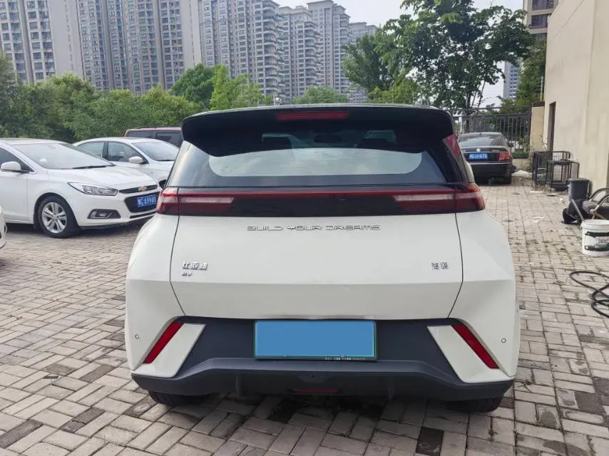 2024 BYD Seagull BEV 38.88KWH,autocango,china used car exporter,china ev exporter,chinese used car exporter,chinese used ev exporter
