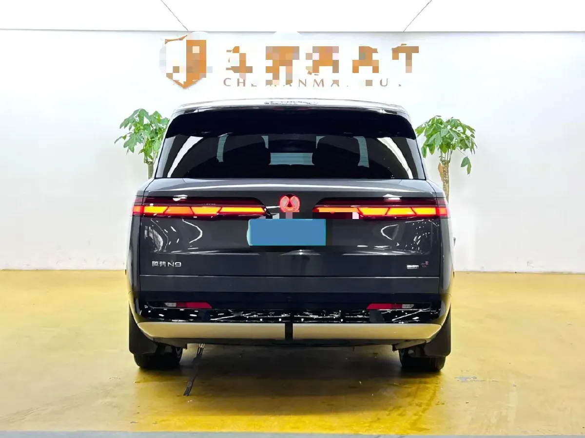 2025 Denza DenzaN9 2.0T 207HP L4 E-CVT PHEV,autocango,china used car exporter,china ev exporter,chinese used car exporter,chinese used ev exporter