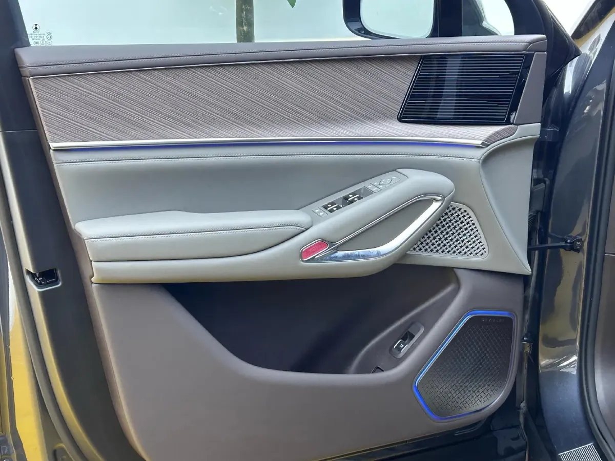 2025 Denza DenzaN9 2.0T 207HP L4 E-CVT PHEV,autocango,china used car exporter,china ev exporter,chinese used car exporter,chinese used ev exporter