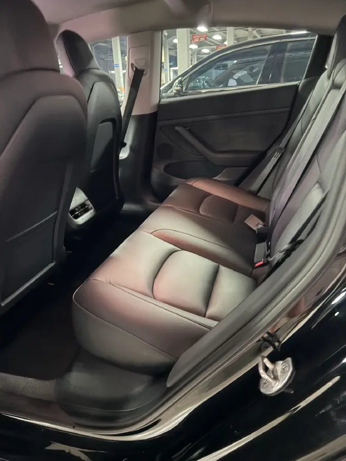 2021 Tesla Model 3 BEV 55KWH,autocango,china used car exporter,china ev exporter,chinese used car exporter,chinese used ev exporter