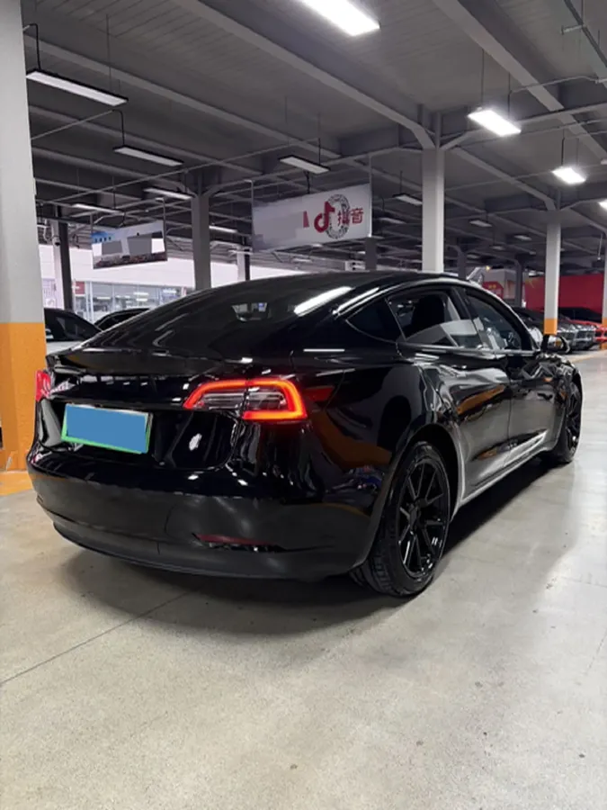2021 Tesla Model 3 BEV 55KWH,autocango,china used car exporter,china ev exporter,chinese used car exporter,chinese used ev exporter