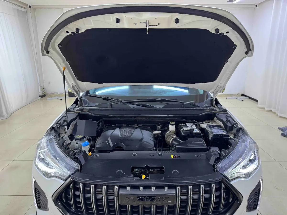 2022 Haval Rabbit 1.5T 150HP L4 7DCT,autocango,china used car exporter,china ev exporter,chinese used car exporter,chinese used ev exporter