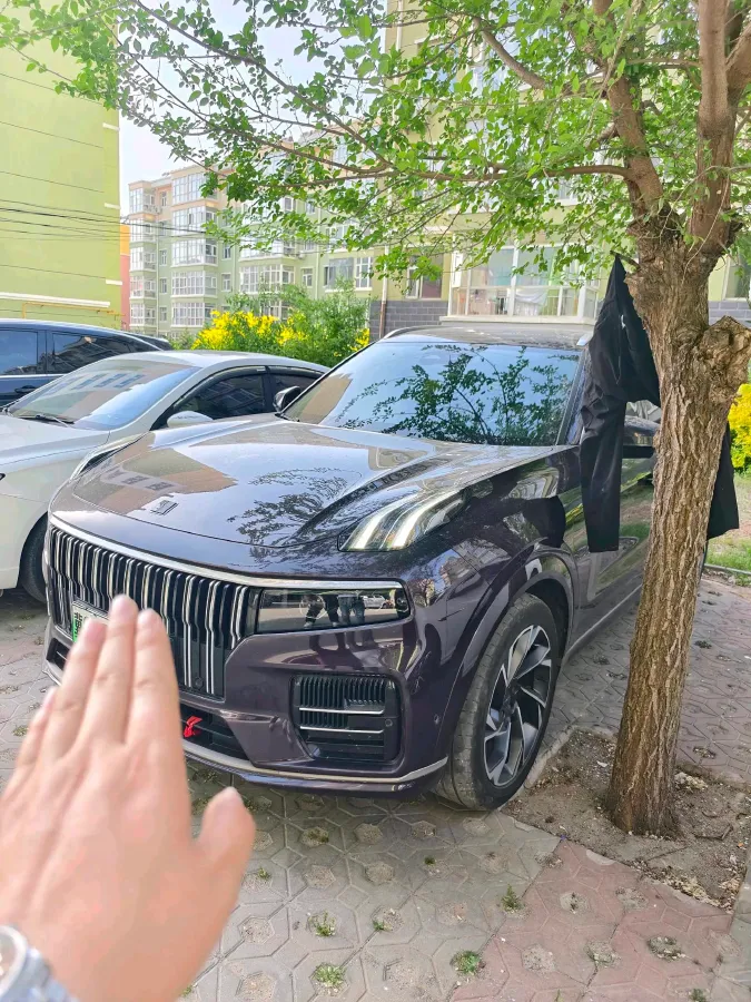 2021 LYNK&CO 09 EM-P 2.0T 254HP L4 8AT PHEV 18.83KWH,autocango,china used car exporter,china ev exporter,chinese used car exporter,chinese used ev exporter