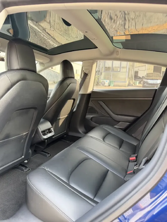 2020 Tesla Model 3 BEV 52KWH,autocango,china used car exporter,china ev exporter,chinese used car exporter,chinese used ev exporter