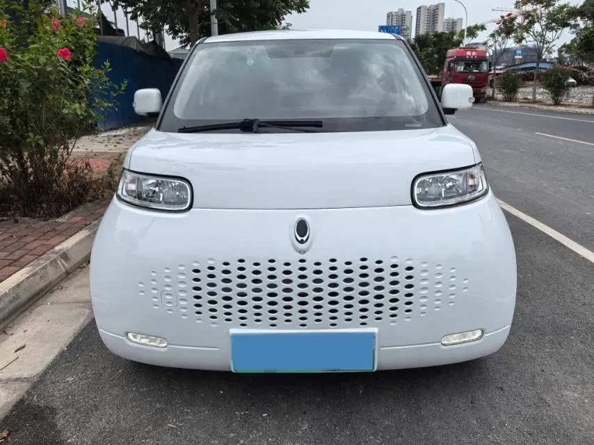 2020 Ora WhiteCat BEV 33KWH,autocango,china used car exporter,china ev exporter,chinese used car exporter,chinese used ev exporter