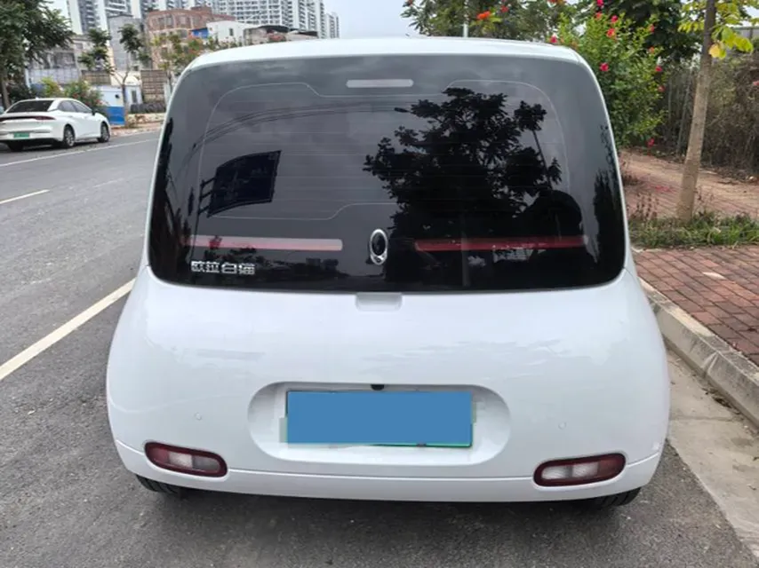 2020 Ora WhiteCat BEV 33KWH,autocango,china used car exporter,china ev exporter,chinese used car exporter,chinese used ev exporter
