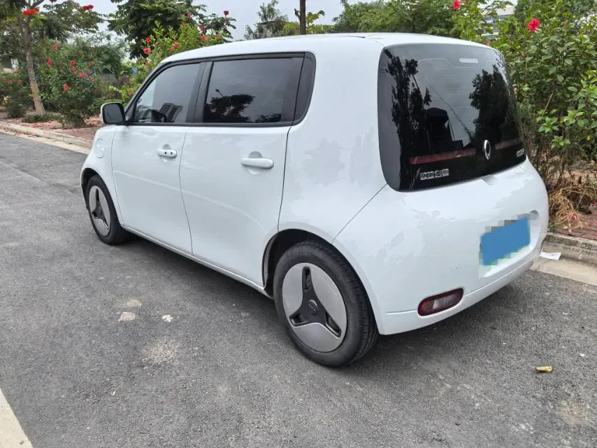 2020 Ora WhiteCat BEV 33KWH,autocango,china used car exporter,china ev exporter,chinese used car exporter,chinese used ev exporter