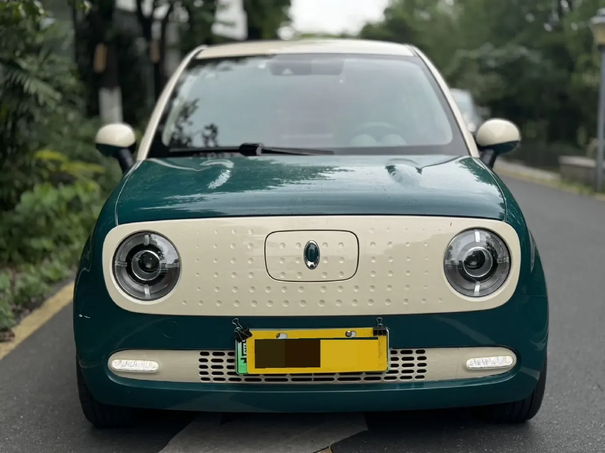 2019 Ora BlackCat BEV 33KWH,autocango,china used car exporter,china ev exporter,chinese used car exporter,chinese used ev exporter