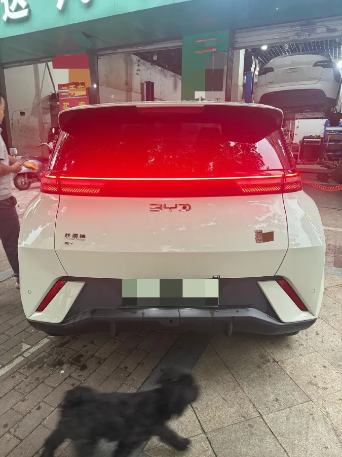 2011 BYD S6 2.0L 140HP L4 5MT,autocango,china used car exporter,china ev exporter,chinese used car exporter,chinese used ev exporter