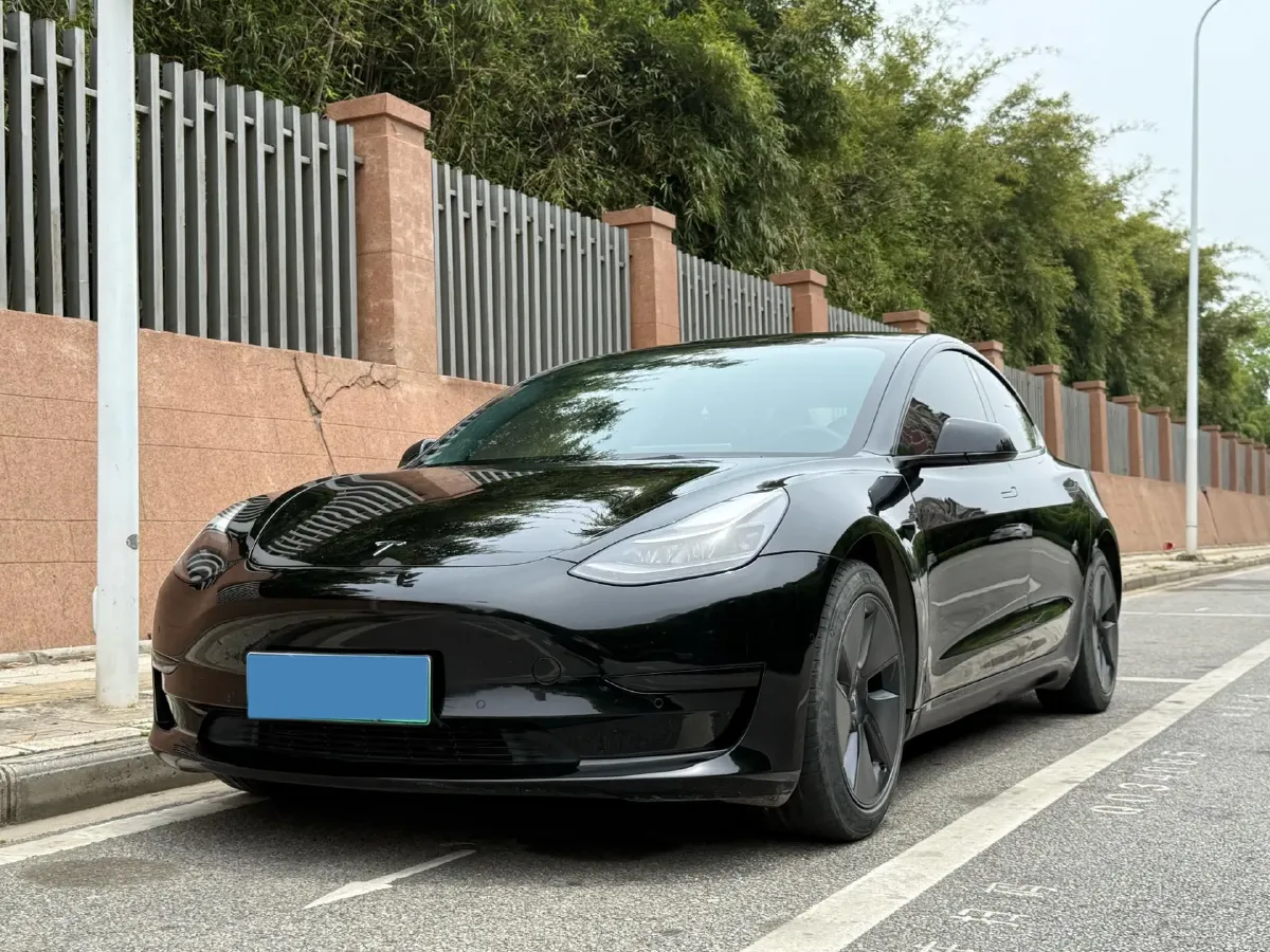 2021 Tesla Model 3 BEV 55KWH,autocango,china used car exporter,china ev exporter,chinese used car exporter,chinese used ev exporter
