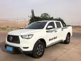 2021 GREAT WALL POER 2021 GREAT WALL POER,autocango,china used car exporter,china ev exporter,chinese used car exporter,chinese used ev exporter