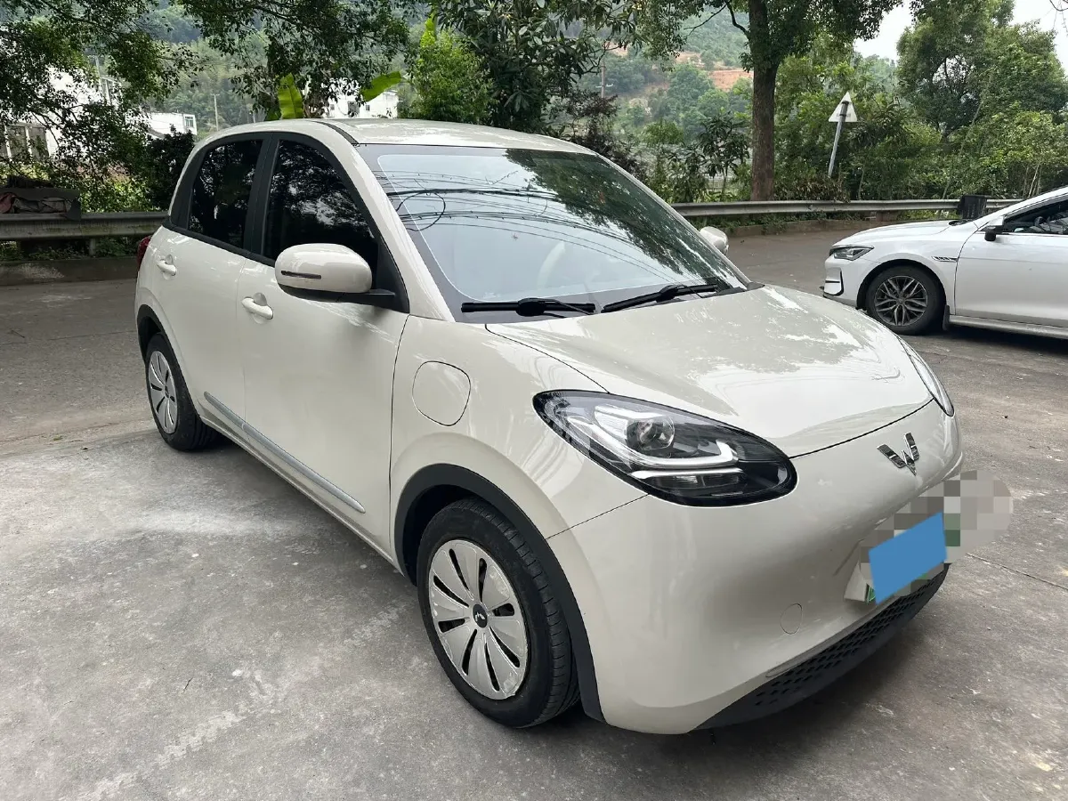 2023 WuLing BinGuo BEV 17.3KWH,autocango,china used car exporter,china ev exporter,chinese used car exporter,chinese used ev exporter