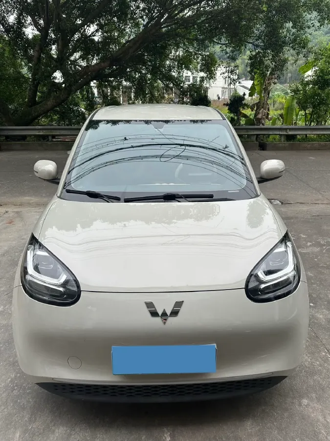 2023 WuLing BinGuo BEV 17.3KWH,autocango,china used car exporter,china ev exporter,chinese used car exporter,chinese used ev exporter