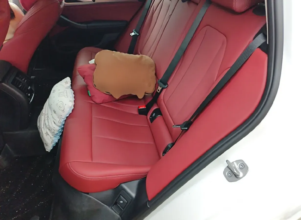 2022 BMW X4 2.0T 245HP L4 8AT,autocango,china used car exporter,china ev exporter,chinese used car exporter,chinese used ev exporter