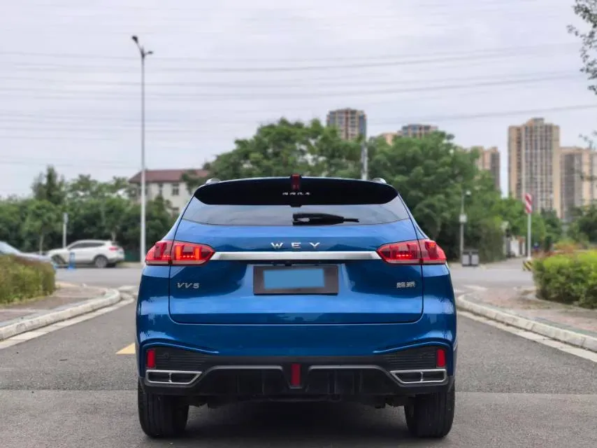 2020 WEY VV5 1.5T 171HP L4 7DCT,autocango,china used car exporter,china ev exporter,chinese used car exporter,chinese used ev exporter