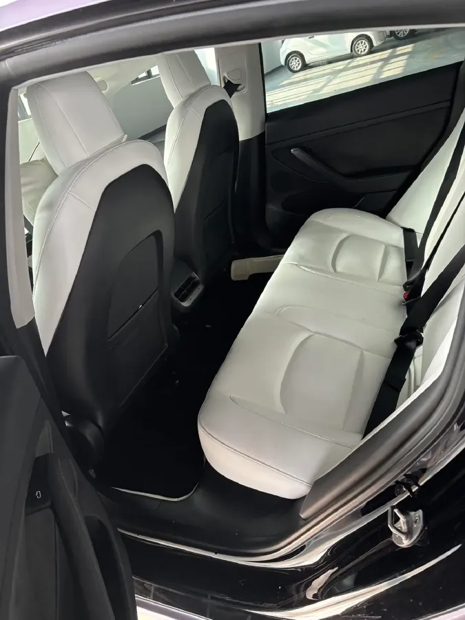 2021 Tesla Model 3 BEV 55KWH,autocango,china used car exporter,china ev exporter,chinese used car exporter,chinese used ev exporter