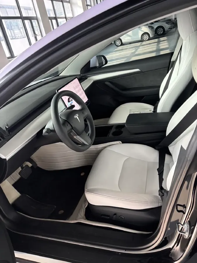 2021 Tesla Model 3 BEV 55KWH,autocango,china used car exporter,china ev exporter,chinese used car exporter,chinese used ev exporter