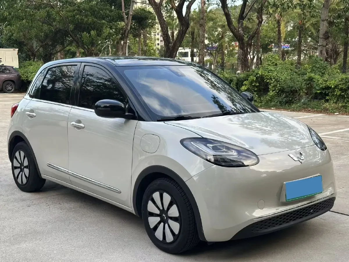 2023 WuLing BinGuo BEV 31.9KWH,autocango,china used car exporter,china ev exporter,chinese used car exporter,chinese used ev exporter